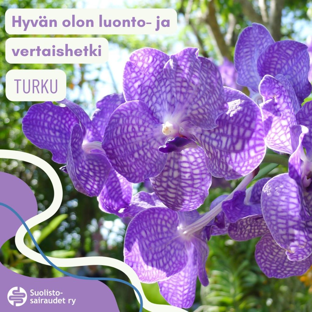Kuvituskuva, jossa teksti hyvän olon luonto- ja vertaishetki Turku