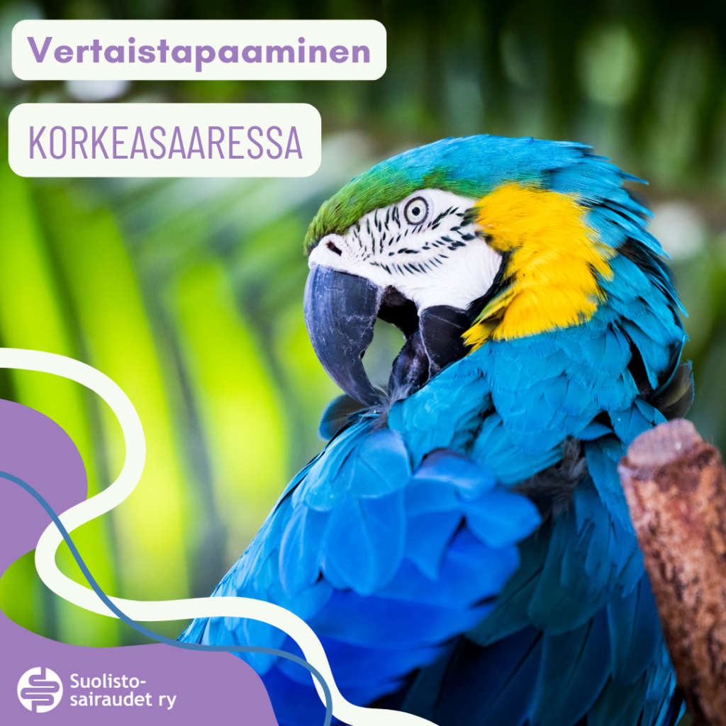 Kuvituskuva, jossa teksti vertaistapaaminen Korkeasaaressa